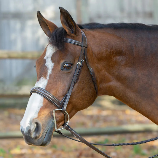 Equinavia Saga Wide Noseband Hunter Bridle