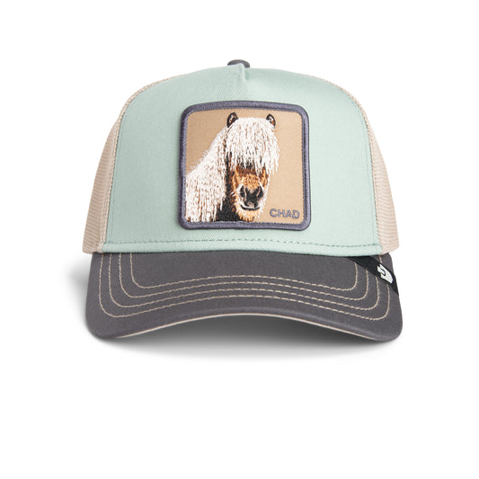Goorin Bros Tricolor Horse Multi Color