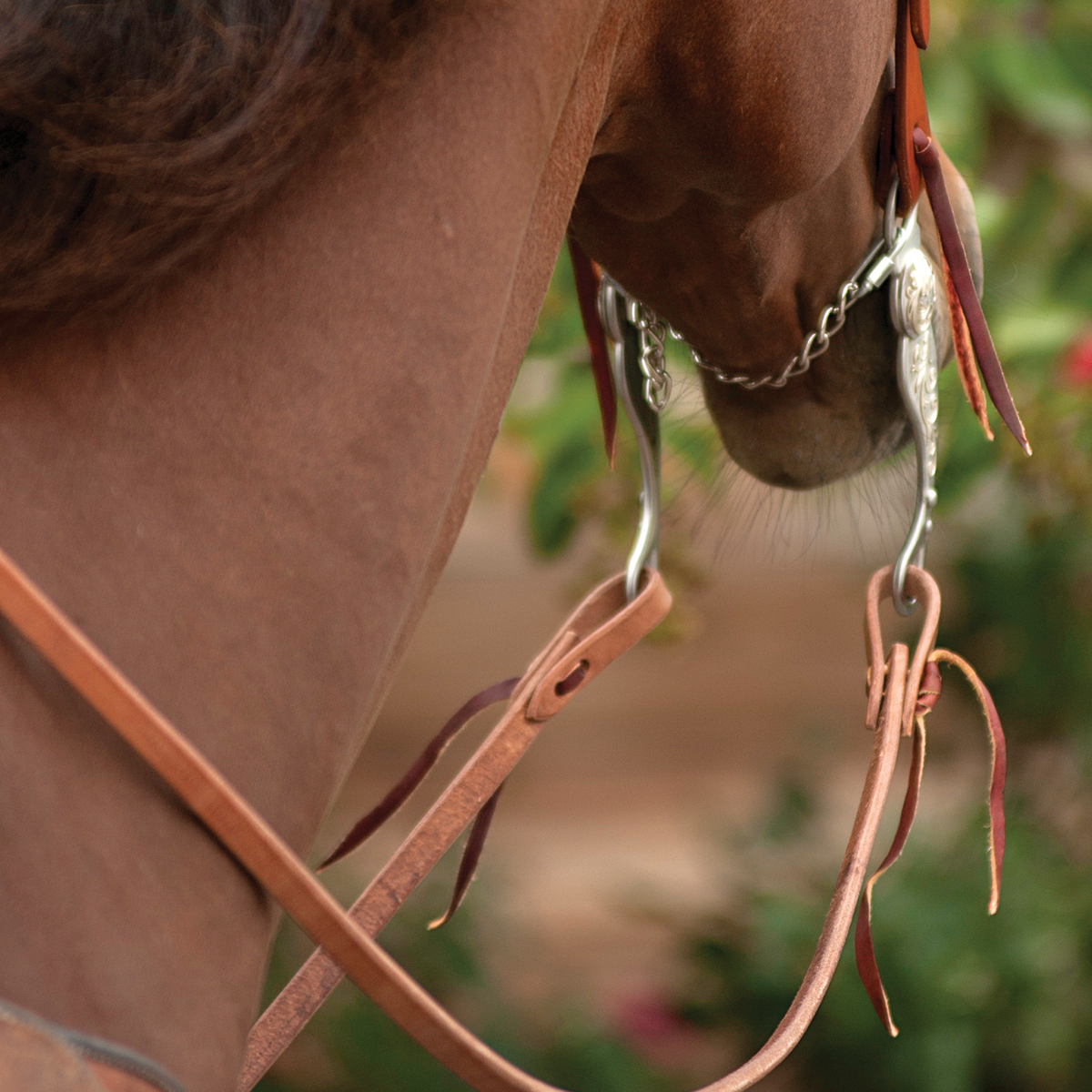 Martin Medium Oil Harness Split Reins