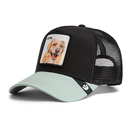 Goorin Bros The Loyal Dog Void / Shade