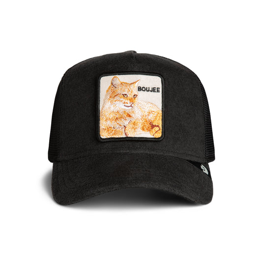 Goorin Bros Terry Cloth Cat Void