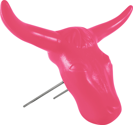 Classic Roping Steer Head