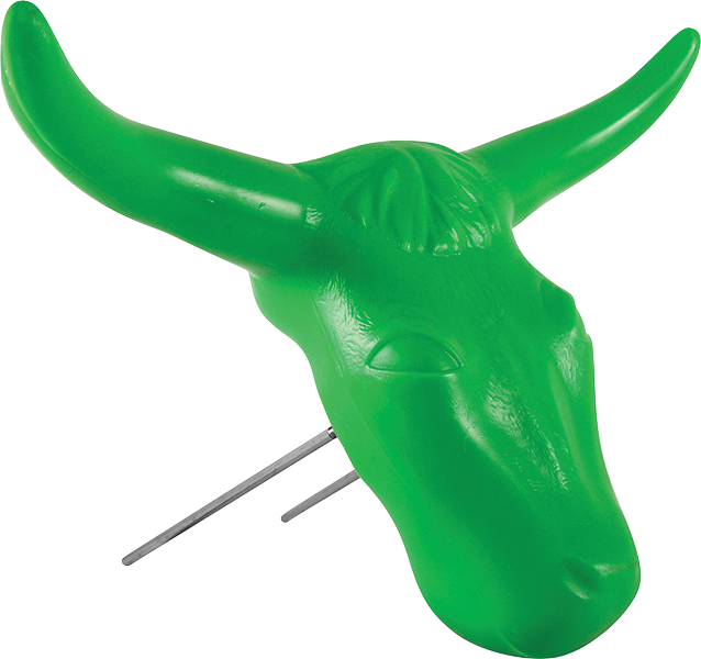 Classic Roping Steer Head