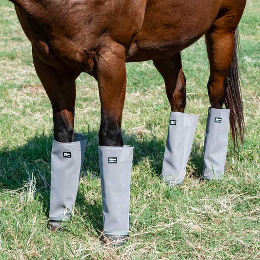 Cashel Crusader Leg Guard Horse 4 Pack