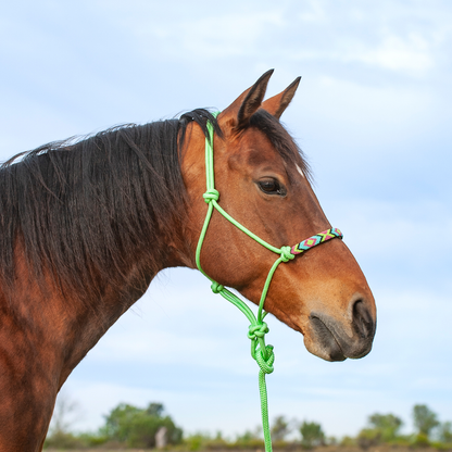 Cashel Beaded Wave Rope Halter with 9' Lead