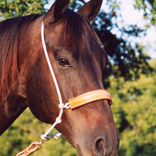 Martin Leather Covered Rope Headset Tiedown