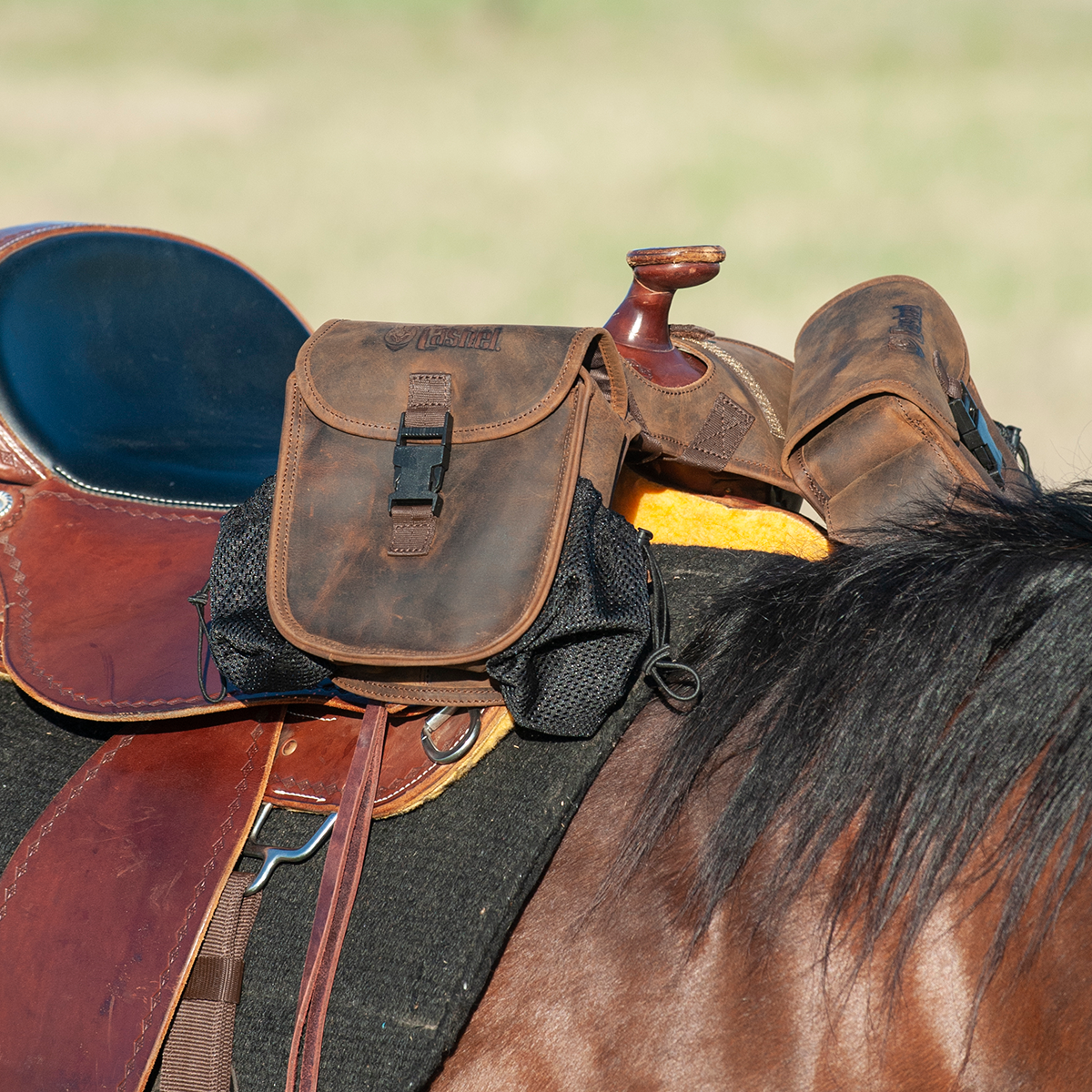 Cashel Small Distressed Leather Horn Bag