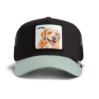 Goorin Bros The Loyal Dog Void / Shade