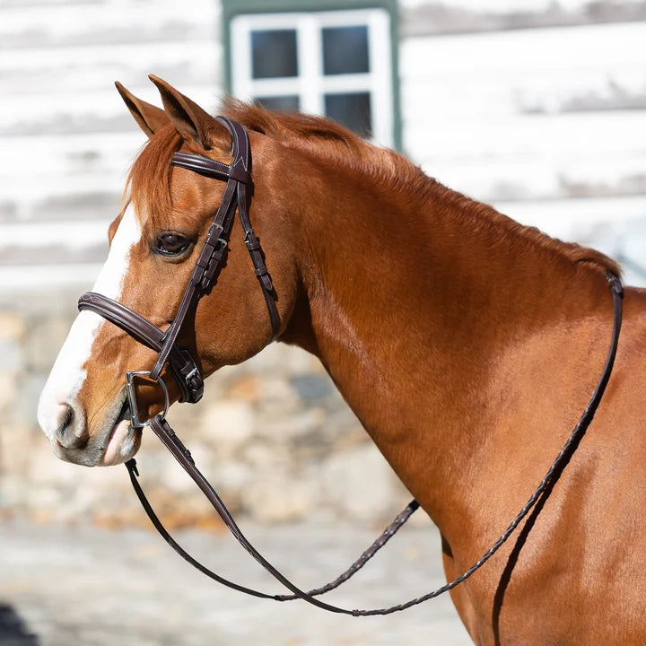 Equinavia Valkyrie Fancy Stitched Bridle