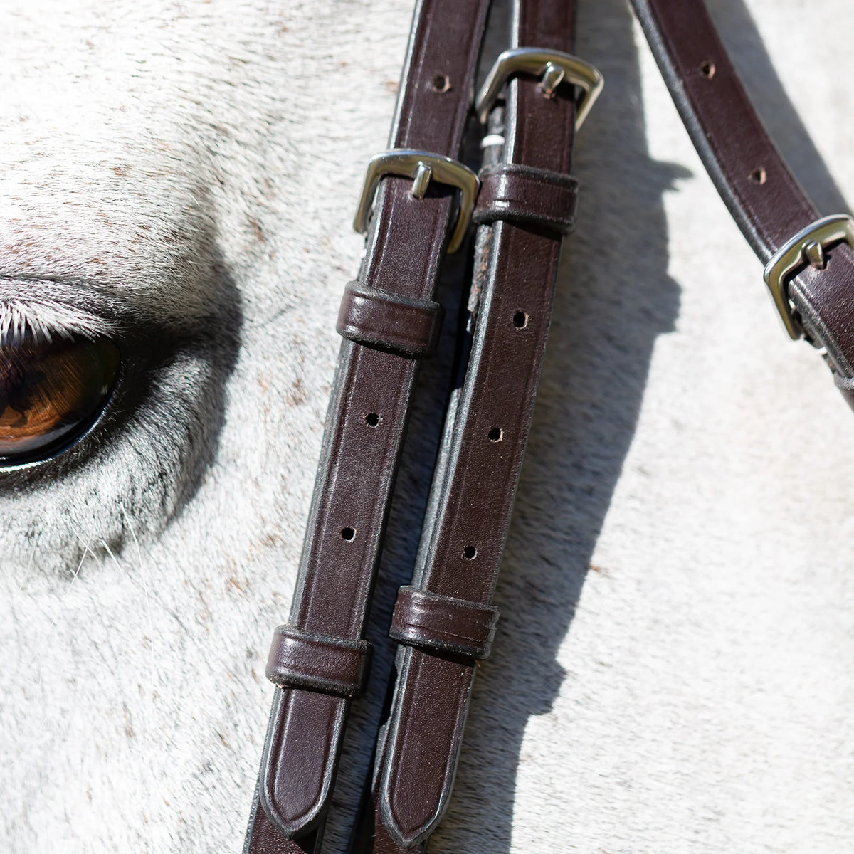 Equinavia Valkyrie Wide Noseband Hunter Bridle