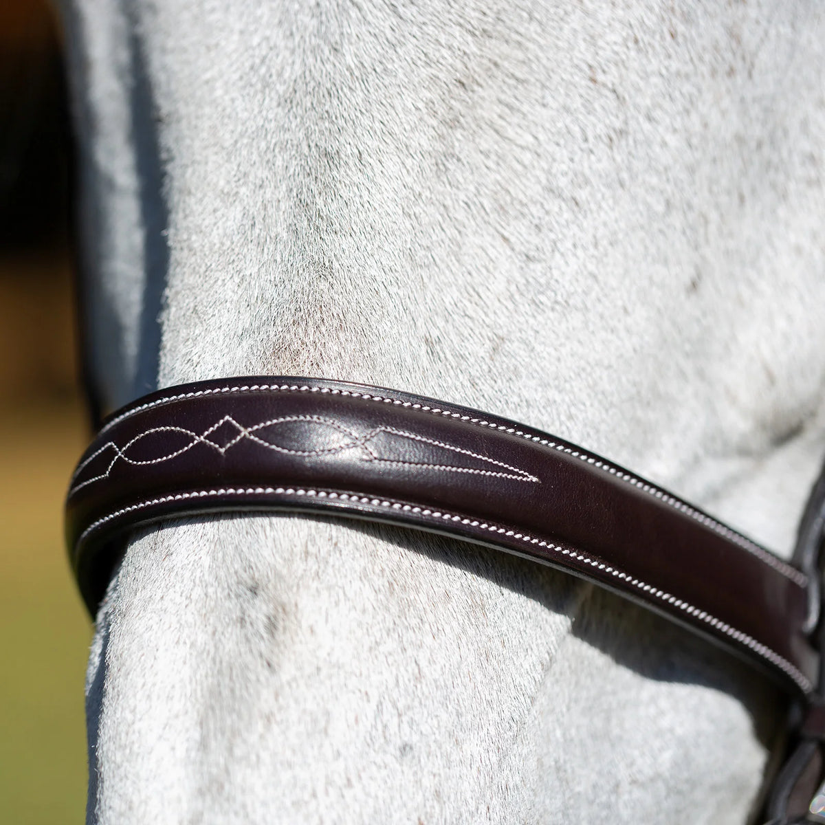 Equinavia Valkyrie Wide Noseband Hunter Bridle