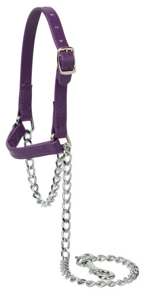 Weaver Sheep/Goat Brahma Webb® Halters